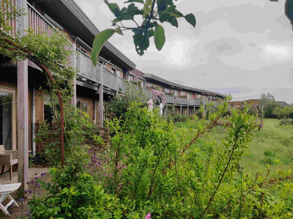 Hansa Wonen