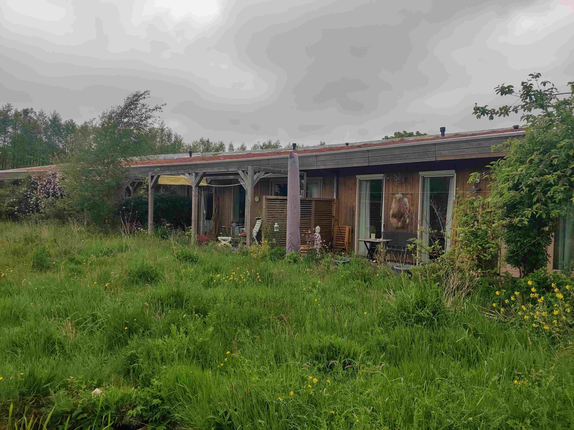 Hansa Wonen