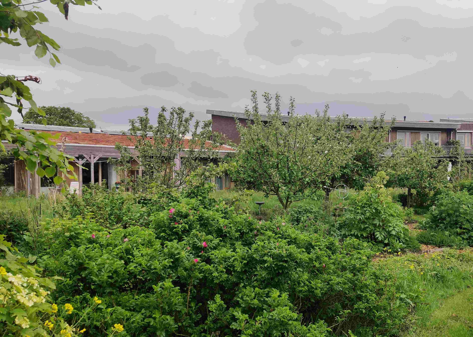 Hansa Wonen